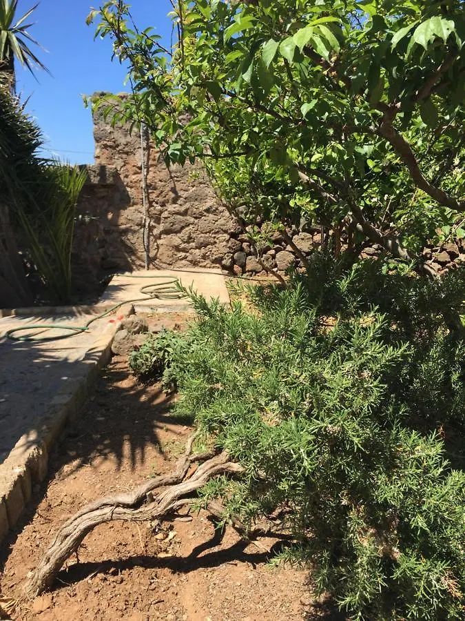Cactus B&B Le Casette Di Marilena Pantelleria Italia